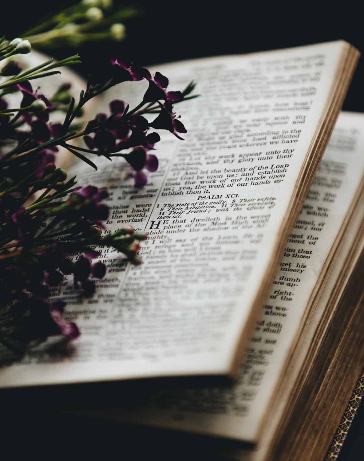 Photo of an open Bible by Nathan Dumlao on Unsplash